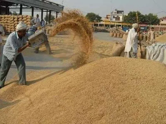 ଖରିଫ ଧାନ ସଂଗ୍ରହ ଆରମ୍ଭ; ବୃଦ୍ଧ, ରୋଗଗ୍ରସ୍ତ ବା ଅକ୍ଷମ ବ୍ୟକ୍ତିମାନେ ମଣ୍ଡିରେ ଉପସ୍ଥିତ ନ ରହିପାରିଲେ ବି ସେମାନଙ୍କ ଧାନ କ୍ରୟ କରାଯିବ