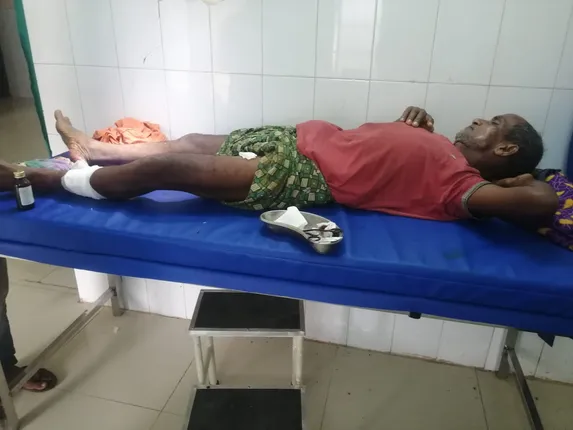 ଭାଲୁ କାମୁଡ଼ାରେ ଜଣେ ଗୁରୁତର, ଡାକ୍ତରଖାନାରେ ଭର୍ତ୍ତି