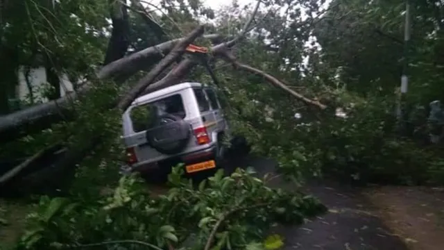 ବୁଲବୁଲ ବାତ୍ୟା ପ୍ରଭାବିତ ଚାଷୀଙ୍କ ଋଣ ଛାଡ ଦାବି କଲା କଂଗ୍ରେସ