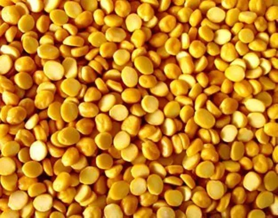 ଜାଣନ୍ତୁ, ଶରୀର ପାଇଁ କେତେ ଉପଯୋଗୀ ବୁଟଡାଲି ?