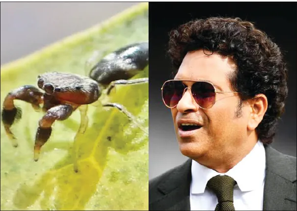 ସିଲି ପଏଣ୍ଟ୍‌: ବୁଢ଼ିଆଣୀର ନାଁ ସଚିନ