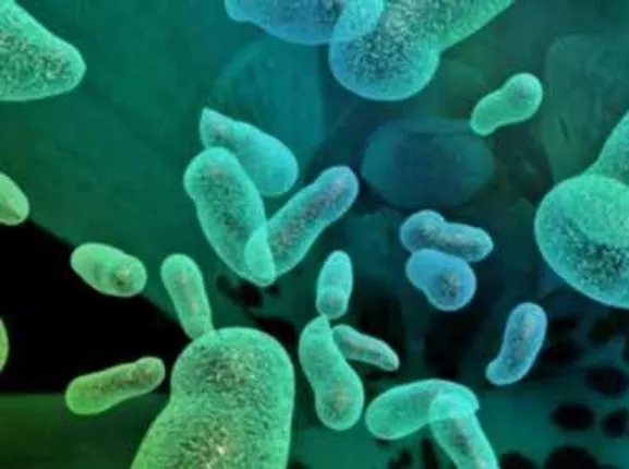 ଅଙ୍ଗାରକାମ୍ଳକୁ ଖାଇ ଧ୍ବଂସ କରିପାରୁଥିବା ବୀଜାଣୁ ଉଦ୍ଭାବନ କଲେ ଇସ୍ରାଏଲ ବୈଜ୍ଞାନିକ