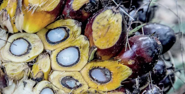 ଭାରତ ସହ ଆଲୋଚନା ଲାଗି ମାଲେସିଆ ବ୍ୟାକୁଳ, କଥାବାର୍ତ୍ତା ମାଧ୍ୟମରେ ସମସ୍ୟାର ସମାଧାନ କରିବାକୁ ପ୍ରସ୍ତାବ