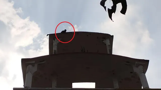 ଯୁବକଙ୍କ ଉନ୍ମତ୍ତ କାଣ୍ଡ : ଉତ୍କଳ ବିଶ୍ୱବିଦ୍ୟାଳୟ ପରିଜା ଲାଇବ୍ରେରି ଛାତ ଉପରକୁ ଚଢ଼ି  ଆତ୍ମହତ୍ୟା ଧମକ