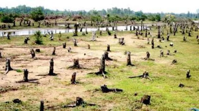 ପୋସ୍କୋ ଜମି ଜିନ୍ଦଲ୍‌କୁ ହସ୍ତାନ୍ତର କରାଯାଇଛି