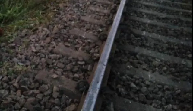 ରାୟଗଡ଼ା-ବିଶାଖାପାଟଣା ରେଳ ଲାଇନରେ ଅଘଟଣ : ଇଣ୍ଟରସିଟି ଧକ୍କାରେ ୧୬ ଗାଈ ମୃତ