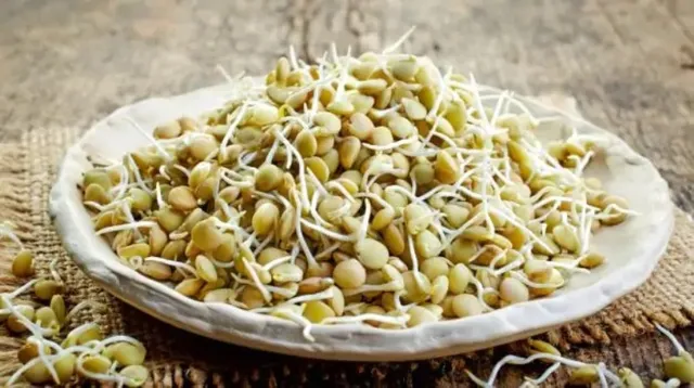 ଉଚ୍ଚ ରକ୍ତଚାପକୁ ରୋକିବା ସହ ଅନେକ ରୋଗକୁ ଦୂରରେ ରଖିଥାଏ ଗଜାମୁଗ...