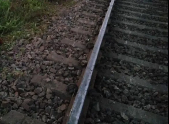 ଟ୍ରେନ୍ ଧକ୍କାରେ ୨୦ରୁ ଊର୍ଧ୍ୱ ଗାଈ ଗୁରୁତର