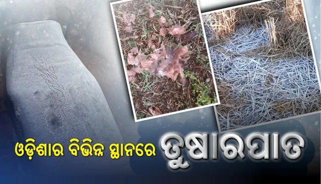 ଥଣ୍ଡାରେ ଥରୁଛି ଓଡ଼ିଶା : ରାଜ୍ୟର ବିଭିନ୍ନ ସ୍ଥାନରେ ଶୀତ ଲହରୀ ଏବଂ ତୁଷାରପାତ