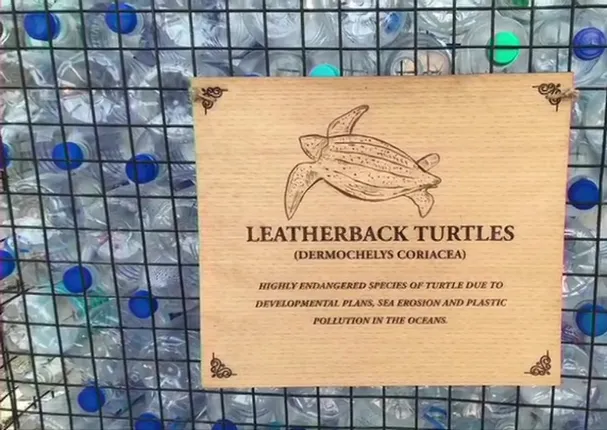 କଇଁଛଙ୍କ ପାଇଁ ପ୍ଲାଷ୍ଟିକ ବୋତଲରେ ନିର୍ମାଣ ହେଲା ପ୍ରଥମ ସମୁଦ୍ର ସମାଧି