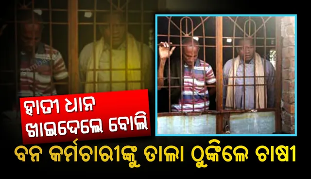 ହାତୀ ଧାନ ଖାଇଦେଲେ ବୋଲି ବନ କର୍ମଚାରୀଙ୍କ ଉପରେ ରାଗ ଶୁଝାଇଲେ ଚାଷୀ : ବନ କର୍ମଚାରୀଙ୍କୁ ତାଲା ଠୁଙ୍କିଲେ ଚାଷୀ, ୯ ଘଣ୍ଟା ପରେ ଉଦ୍ଧାର, ତୁଷରା ଥାନାରେ ଏତଲା
