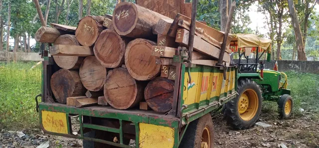 କୋରାପୁଟ ଭିଜିଲାନ୍‌ସ ବିଭାଗ ଦ୍ୱାରା ବ୍ୟାପକ ପରିମାଣରେ କାଠ ଗଣ୍ଡି ଜବତ।