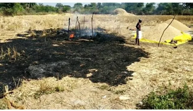 କଳାହାଣ୍ଡି : ଧାନଖଳାରେ ଅଗ୍ନିକାଣ୍ଡ ଘଟି ଜିଅନ୍ତା ଜଳିଗଲେ ୩ ଶିଶୁକନ୍ୟା