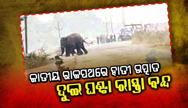 ଜାତୀୟ ରାଜପଥରେ ହାତୀ ଉତ୍ପାତ, ଦୁଇ ଘଣ୍ଟା ରାସ୍ତା ବନ୍ଦ