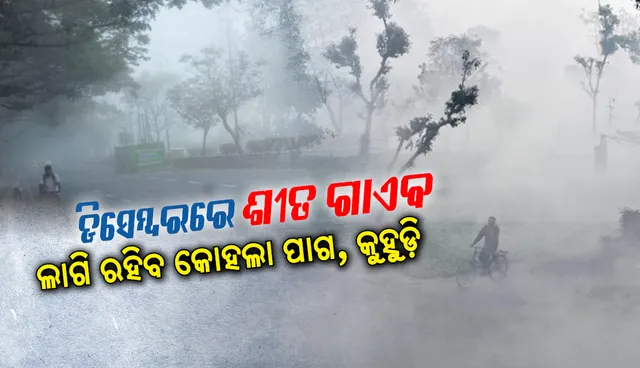 ଡିସେମ୍ବରରେ ଶୀତ ଗାଏବ : ଆସନ୍ତା ତିନି ଦିନ ବର୍ଷା ସମ୍ଭାବନା, ଲାଗି ରହିବ କୋହଲା ପାଗ, କୁହୁଡ଼ି
