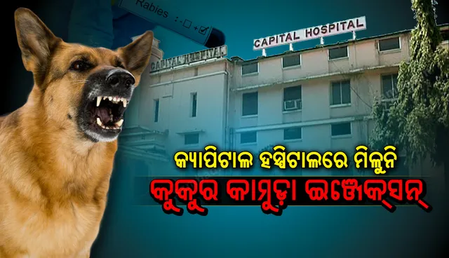 କ୍ୟାପିଟାଲ ହସ୍ପିଟାଲରେ ମିଳୁନି କୁକୁର କାମୁଡ଼ା ଇଞ୍ଜେକସନ୍‌