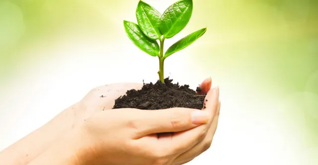 ବୃକ୍ଷ‌ରୋପଣରେ ‘ସମ୍ବାଦ ସାହିତ୍ୟଘର’ର ନୂଆ ମାଇଲଖୁଣ୍ଟ: ଲାଗିଲା ଲକ୍ଷେ ୧୬ ହଜାର ଚାରା