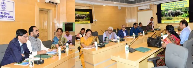 ‘ଫନି’ର ୭ ମାସ ପରେ ସଫା ହେବ ବାଲୁଖଣ୍ଡ ଅଭୟାରଣ୍ୟ, ଉପୁଡ଼ି ପଡ଼ିଥିବା ୨୦ ଲକ୍ଷ ଗଛ କଢ଼ାଯିବ