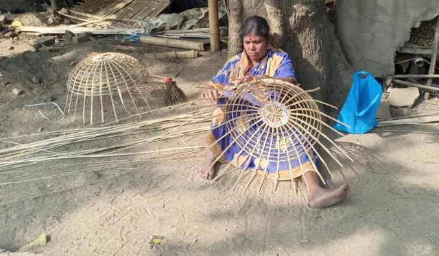 ମୋ ବେଉଷା...। ବାଉଁଶ ଟୋକେଇ ତିଆରିରେ ବ୍ୟସ୍ତ ଜଣେ ମହିଳା। (ଫଟୋ: ମନୋଜ ବିଶ୍ୱାଳ, ବାଲେଶ୍ୱର)