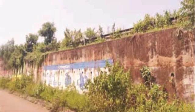 ବିପଦରେ ୧୬ନମ୍ବର ଜାତୀୟ ରାଜପଥର ଜଙ୍କିଆ ଓଭରବ୍ରିଜ୍, ଭୁଶୁଡ଼ିବା ଆଶଙ୍କା