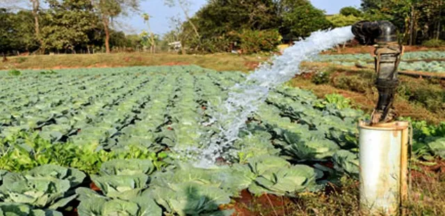 ଉଠା ଜଳସେଚନ ନିଗମ ଅଧ୍ୟକ୍ଷଙ୍କ ବିଭିନ୍ନ ପ୍ରକଳ୍ପ ପରିଦର୍ଶନ