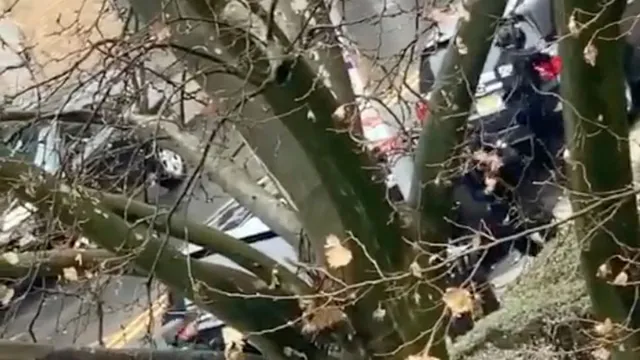 ନ୍ୟୁଜର୍ସି ଗୁଳିକାଣ୍ଡରେ ଜଣେ ପୁଲିସ, ଦୁଇଜଣ ସନ୍ଦିଗ୍ଧଙ୍କ ସମେତ ଛଅ ମୃତ