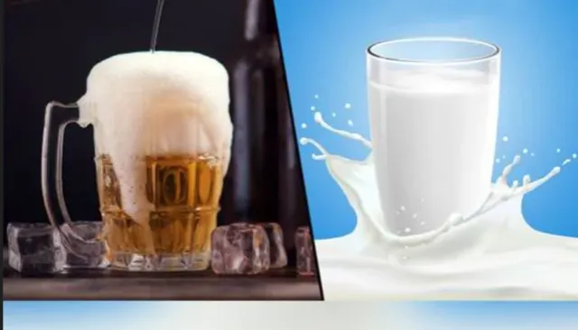 କ୍ଷୀର ଅପେକ୍ଷା ବିୟର ପିଇବା ଅଧିକ ଲାଭଦାୟକ !