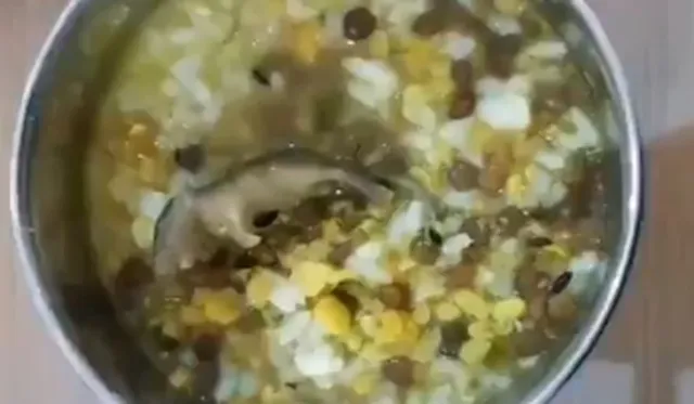 ମଧ୍ୟାହ୍ନ ଭୋଜନରେ ମୂଷା; ଅସୁସ୍ଥ ହୋଇ ୯ ଛାତ୍ରଛାତ୍ରୀ ହସ୍ପିଟାଲ୍‌ରେ ଭର୍ତ୍ତି