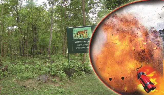 ସାତକୋଶିଆରେ ଫୁଟୁଛି ଡିନାମାଇଟ୍, ବିପଦରେ ବନ୍ୟ ପ୍ରାଣୀ