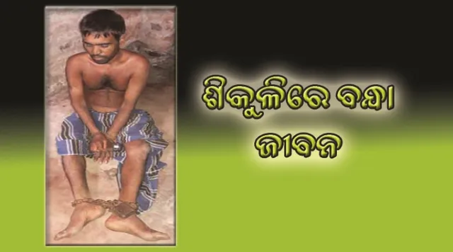 ଶିକୁଳିରେ ବନ୍ଧା ଜୀବନ : ଦୀର୍ଘ ୧୭ ବର୍ଷ ହେଲା ହାତ ଓ ଗୋଡ଼ରେ ବନ୍ଧା ହୋଇ ତାଲା ପଡ଼ିଛି ଲୁହା ଶିକୁଳି, ଦୁର୍ବିସହ ହୋଇପଡ଼ିଛି ଜୀବନ, ହଜାରେ ଟଙ୍କାରେ ଚଳୁଛନ୍ତି ୩ ପ୍ରାଣୀ କୁଟୁମ୍ବ