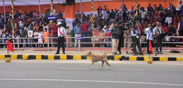 ପାଳିତ ହେଲା ସାଧାରଣତନ୍ତ୍ର ଦିବସ: କେଉଁଠି କୁକୁର ପଶିଲା ତ କେଉଁଛି ଛିଣ୍ଡିଲା ତ୍ରିରଙ୍ଗା