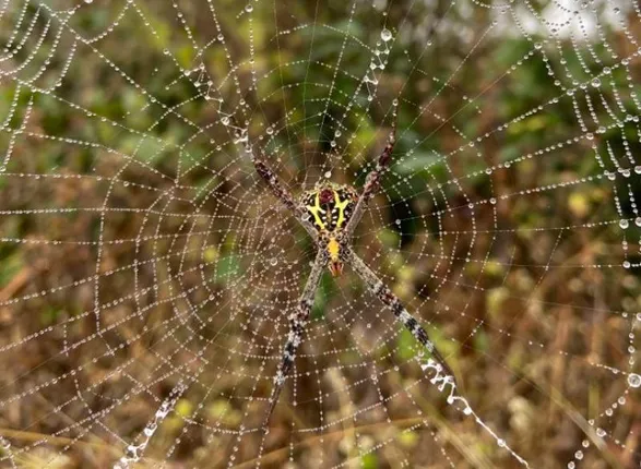 ଶୀତ କାକରରେ ବାନ୍ଧିଛି ଘର, କେବେ ମିଳିବ ମୋତେ ଆହାର...। (ଫଟୋ: ତରୁଣ, ଜୟପୁର)