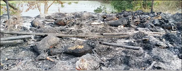 ଫାର୍ମରେ ନିଆଁ ଲଗାଇଦେଲେ, ୧୦୦ ଛେଳି ଜଳିଗଲେ