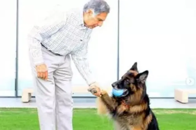 କାର୍ଯ୍ୟାଳୟରେ ପ୍ରଥମେ କୁକୁରକୁ ଭେଟନ୍ତି ଟାଟା