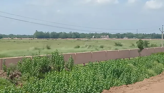 ଭଦ୍ରକ: ଶିଳ୍ପ ନାଁରେ ପଡ଼ିଆ ପଡ଼ିିଛି ୨୫୦ ଏକର ଜମି, ନିର୍ମାଣ ହେଲାନି କାରଖାନା