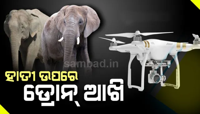ମାରଣା ହାତୀକୁ ଖୋଜୁଛି ଡ୍ରୋନ କ୍ୟାମେରା: ଯାଜପୁରରେ ୪ ଜଣଙ୍କୁ ମାରିବା ପରେ ତାତିଲେ ଲୋକ, ରାସ୍ତା ଅବରୋଧ