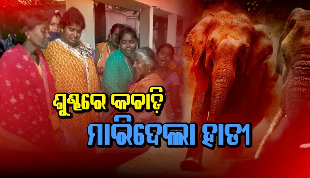 ଦିଗପହଣ୍ଡିରେ ହାତୀ ଆକ୍ରମଣରେ ଚାଷୀଙ୍କର ମୃତ୍ୟୁ