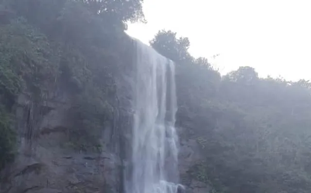 ପର୍ଯ୍ୟଟକଙ୍କୁ ଆକୃଷ୍ଟ କରୁଛି ବାରୀ ଜଳପ୍ରପାତ, ପ୍ରଶାସନର ସହଯୋଗ ମିଳିଲେ ଆହୁରି ବଢ଼ିବ ସୌନ୍ଦର୍ଯ୍ୟ