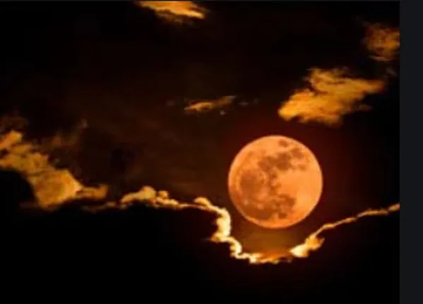 ଚଳିତ ବର୍ଷର ପ୍ରଥମ ବିରଳ ଖଣ୍ଡଛାୟାଯୁକ୍ତ ଚନ୍ଦ୍ର ଗ୍ରହଣ ଜାନୁଆରି ୧୦ରେ; ବର୍ଷ ଶେଷ ସୁଦ୍ଧା ସଂଘଟିତ ହେବ ଆଉ ୩ଟି ଚନ୍ଦ୍ର ଗ୍ରହଣ, ଜାଣନ୍ତୁ କେବେ?...