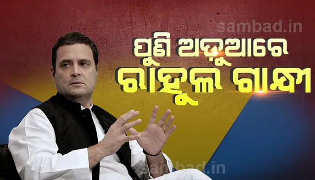 ‘ମୋଦୀ ଜଣେ ଚୋର’ ଟିପ୍ପଣୀ ଲାଗି ରାହୁଲ ଗାନ୍ଧୀଙ୍କୁ ସମନ ପଠାଇଲେ ନ୍ୟାୟାଳୟ