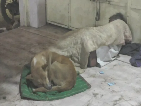 ନୂଆବର୍ଷ ସେଲିବ୍ରେସନ ରାତିର ଦୁଇଟି କଳା ମୁହୂର୍ତ୍ତ