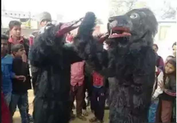 ଏହି ଗ୍ରାମର ଲୋକମାନେ ପାଳି କରି କାହିଁକି ପିନ୍ଧୁଛନ୍ତି ଭାଲୁ ଭଳି ପୋଷାକ ? ଜାଣନ୍ତୁ କାରଣ