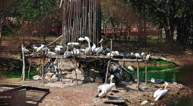 ବାର୍ଡ ଫ୍ଲୁ ଆଶଙ୍କା : ନନ୍ଦନକାନନ ପକ୍ଷୀ ବିହାର ବନ୍ଦ, ବିଦେଶୀ ପକ୍ଷୀଙ୍କ ଉପରେ ନଜର ପାଇଁ କେନ୍ଦ୍ରର ପରାମର୍ଶ