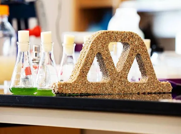 ବୈଜ୍ଞାନିକ ନିର୍ମାଣ କଲେ ଜୀବନ୍ତ କଂକ୍ରିଟ, ସ୍ୱତଃ ପୂରଣ ହୋଇଯିବ ଘରର ଫାଟ !