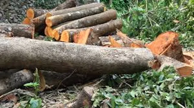 ଲକ୍‌ଡାଉନ୍ ପ୍ରଭାବରେ କଟୁଛି ଜଙ୍ଗଲ