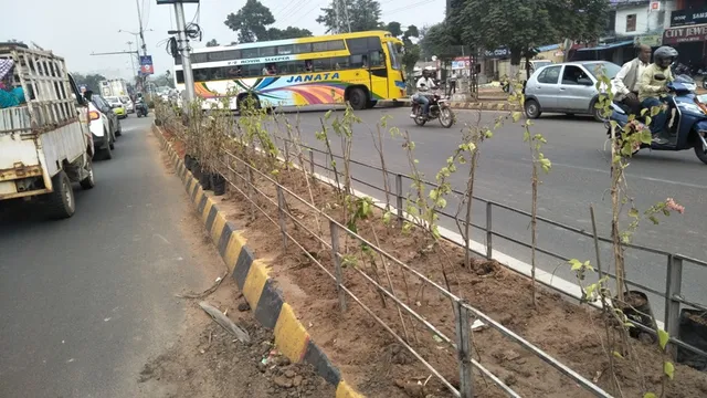 ଜୟଦେବବିହାର-ନନ୍ଦନକାନନ ରାସ୍ତାରେ ଦୁର୍ଘଟଣା କମାଇବାକୁ ପ୍ରୟାସ : ଡିଭାଇଡର୍‌ରେ ଲାଗିବ ଫୁଲଗଛ