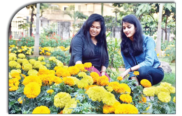 ‘ରୋଜ୍‌ ଗାର୍ଡେନ୍’‌ରେ ଲାଖୁଛି ଆଖି, ଫୁଲରେ ସଜେଇ ହୋଇଛି ‘କିଟ୍ ଓ କିସ୍’