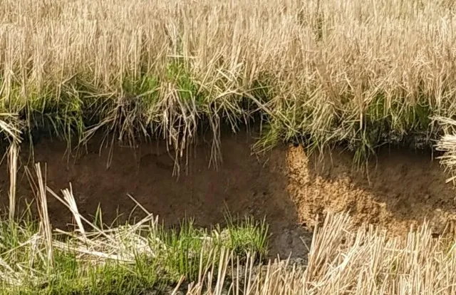 ତାଳଚେର: ଭୂଗର୍ଭକୁ ପୁଣି ଧସିଲା ଚାଷଜମି, ଗ୍ରାମବାସୀଙ୍କ ରାସ୍ତାରୋକ, ସମାଧାନୀ ବୈଠକ ଜାରି