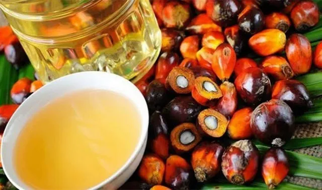 ସମସ୍ୟାରେ ମାଲେସିଆ, ଭାରତ ଆମଦାନି କମାଇବା ପରେ କରୋନାଭାଇରସ ଯୋଗୁଁ ଚୀନକୁ  ବିକ୍ରି ହ୍ରାସ