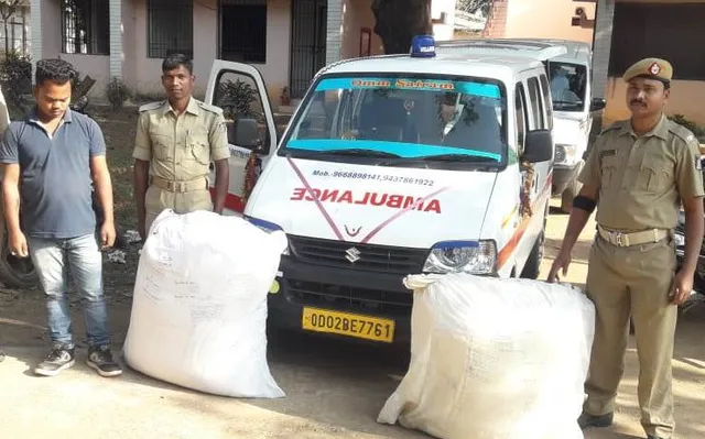 ରୋଗୀ ନେବା ବାହାନା: ଆମ୍ବୁଲାନସରୁ ୮୦ କିଲୋ ଗଂଜେଇ ଜବତ, ଚାଳକ ଗିରଫ